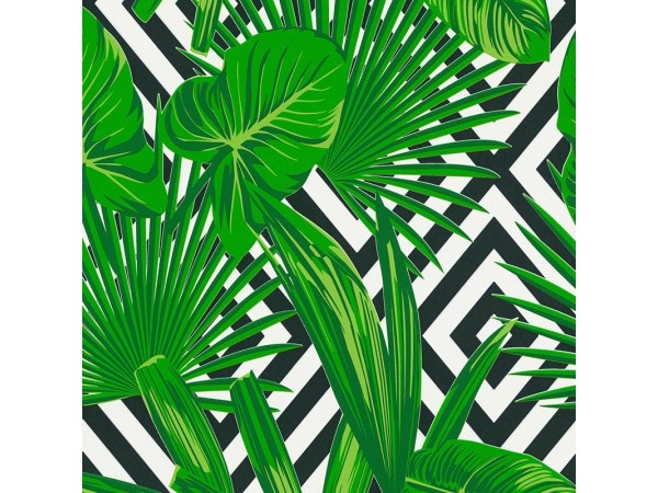 Ταπετσαρία Τοίχου AS36811-2 Ταπετσαρία Τοίχου AS36811-2